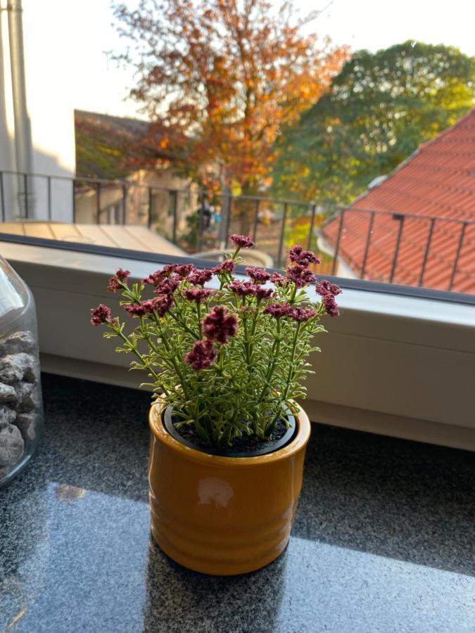 Gasthaus Zur Post Uetze Luaran gambar